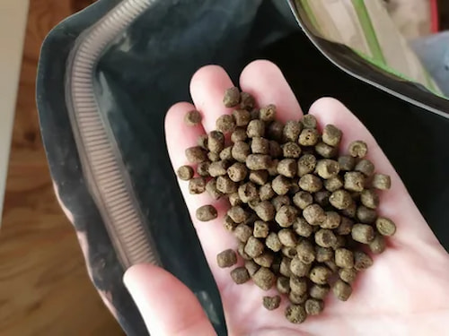 تصویر 5 از خوراک ماهی کپور با جذب بالا و انرژی مناسب